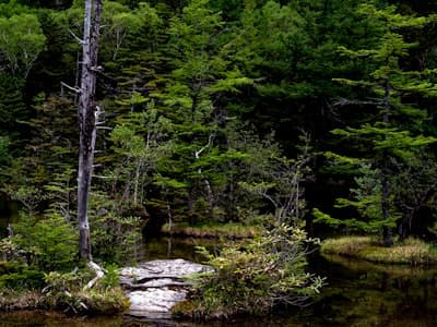 Kamikochi