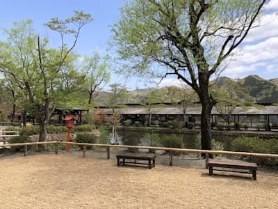 Mashiko Pottery Town