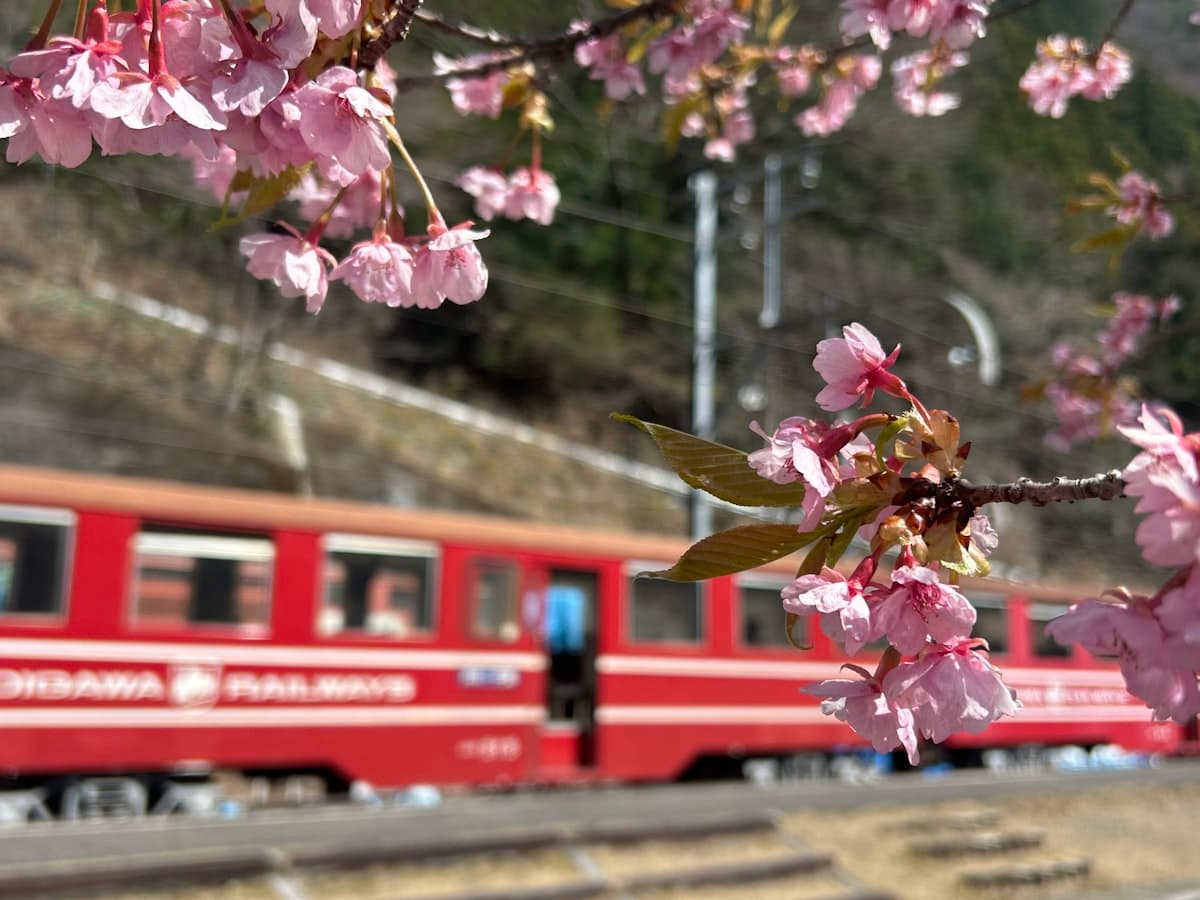 Travel by Train
