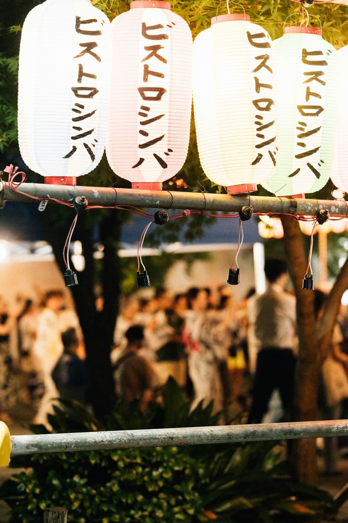 Festivals & Culture